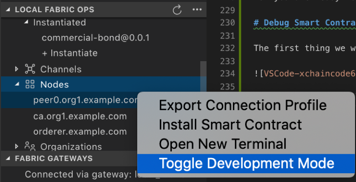 VSCode-xchaincode32